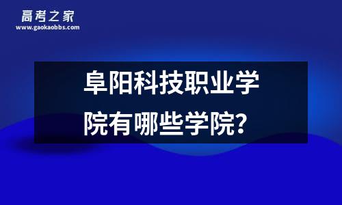 阜阳科技职业学院有哪些学院？