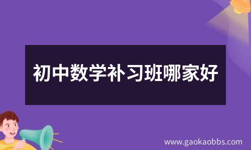 初中数学补习班哪家好