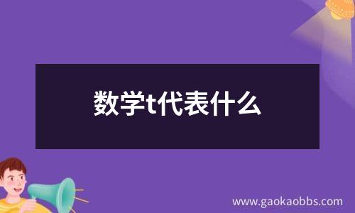 数学t代表什么