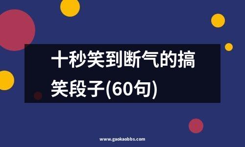 十秒笑到断气的搞笑段子(60句)