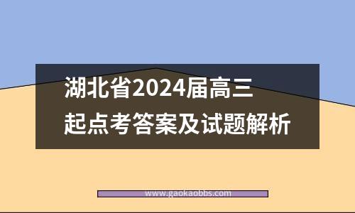 湖北省2024届高三起点考答案及试题解析