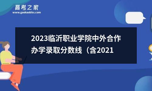 2023临沂职业学院中外合作办学录取分数线（含2021