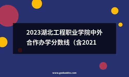 2023湖北工程职业学院中外合作办学分数线（含2021