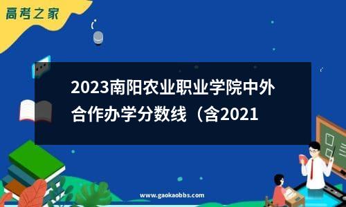 2023南阳农业职业学院中外合作办学分数线（含2021