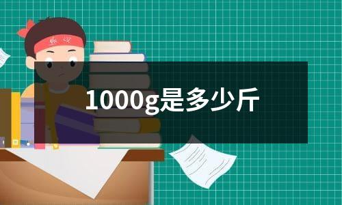 1000g是多少斤