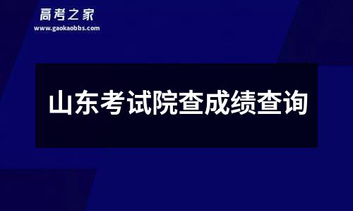 山东考试院查成绩查询