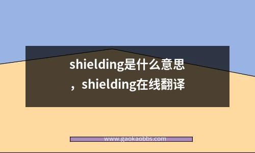 shielding是什么意思，shielding在线翻译