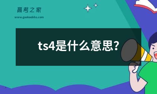 ts4是什么意思？