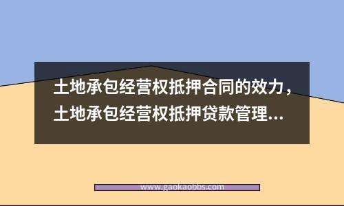 土地承包经营权抵押合同的效力，土地承包经营权抵押贷款管理办法