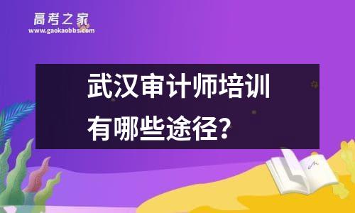 武汉审计师培训有哪些途径？