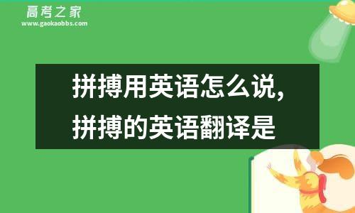 拼搏用英语怎么说,拼搏的英语翻译是