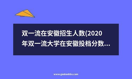 双一流在安徽招生人数(2020年双一流大学在安徽投档分数线及位次是多少)