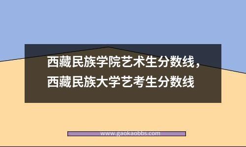 西藏民族学院艺术生分数线，西藏民族大学艺考生分数线